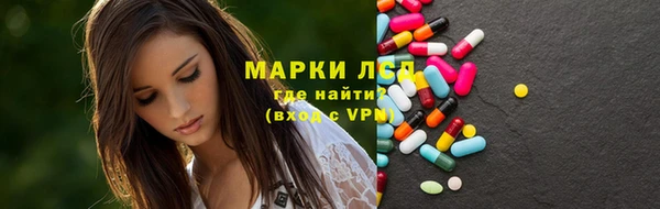 PSILOCYBIN Аркадак