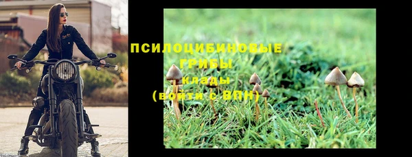 PSILOCYBIN Аркадак