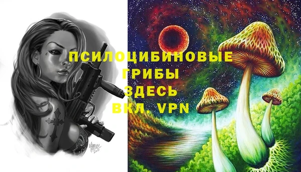 2c-b Баксан