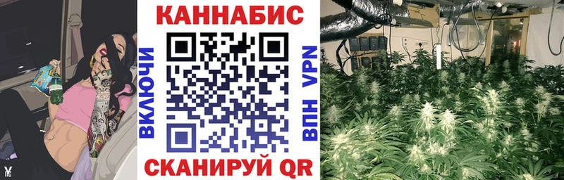 цены наркотик Чапаевск Каннабис тримм